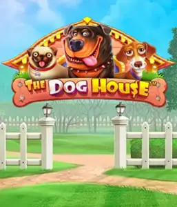 Experience Pragmatic Play's The Dog House Slot, featuring a fun-filled adventure through playful pups. Engage in features including sticky wilds, aimed at providing exciting wins. Ideal for pet lovers a cheerful atmosphere and the opportunity to win big.